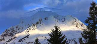 Mt. Hood